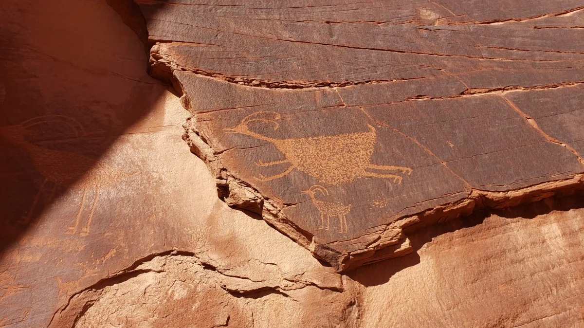 20191111_114220 a close up of a rock