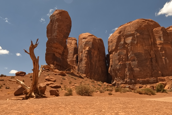 Rock formations and a dry tree in a desert landscape under clear blue sky.