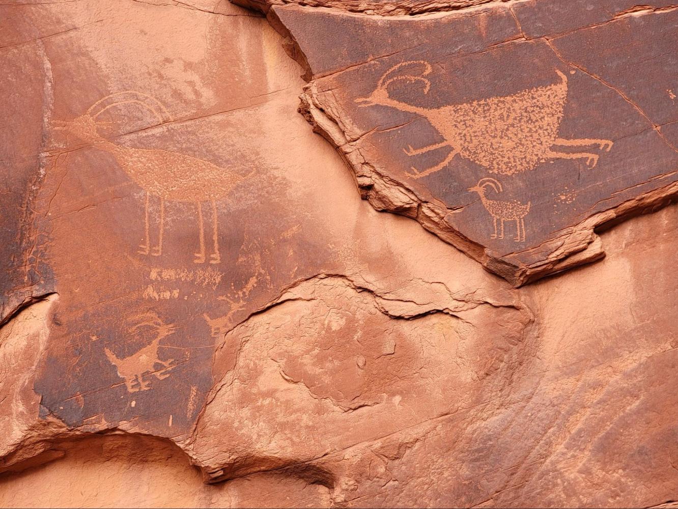 Ancient rock carvings of animals on reddish stone surface.
